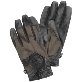 Chevalier Light Shooting Glove